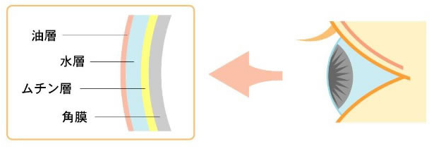 hCAC̎